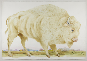 NATIONAL GALLERY OF WILDLIFE ART PURCHASE