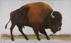 BADLANDS AT GERALD PETERS GALLERY